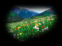 /album/tajak/a0-8b212-90c8a97e-xl-png/