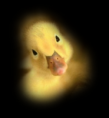 /album/allatok-png/a02-1-2-3-4-5-6-7-8-9-png/