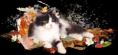 /album/allatok-png/a3b81daed-png/