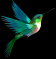 /album/allatok-png/a5-1-2-3-4-5-6-7-8-9-png/