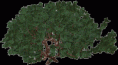 /album/novenyek-png/a1346753754-53-gif/