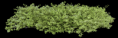 /album/novenyek-png/a1355072929-10-png/