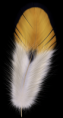 /album/tollak-png/feather05-png/